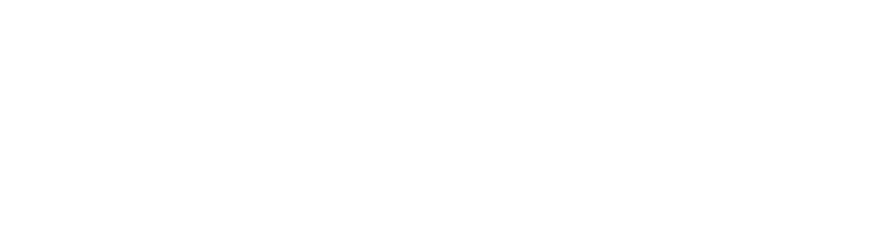 EVC POINT